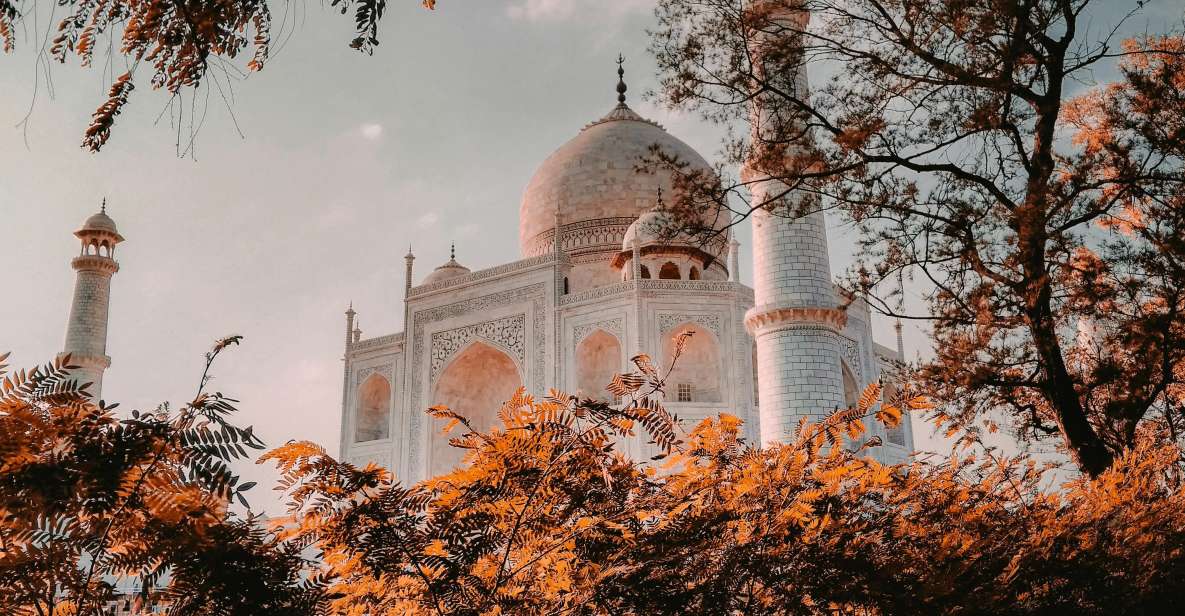 Day Trip to Taj Mahal, Agra Fort, and Baby Taj From Delhi - Key Points