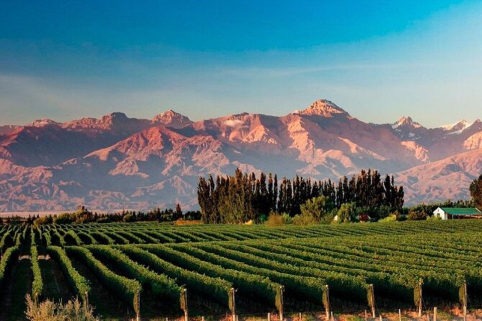 Daytour to Mendoza Wineries - Key Points