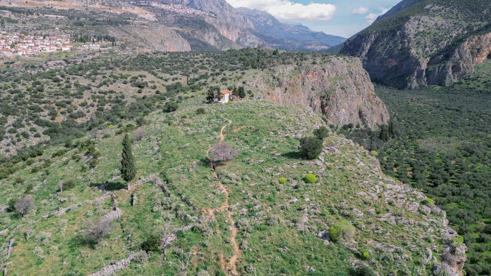 Delphi: Easy Hike on Ancient Path Through the Olive Groves - Key Points