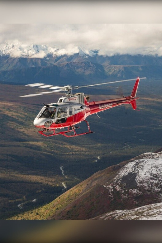 Denali National Park: Helicopter and Hike Adventure - Key Points