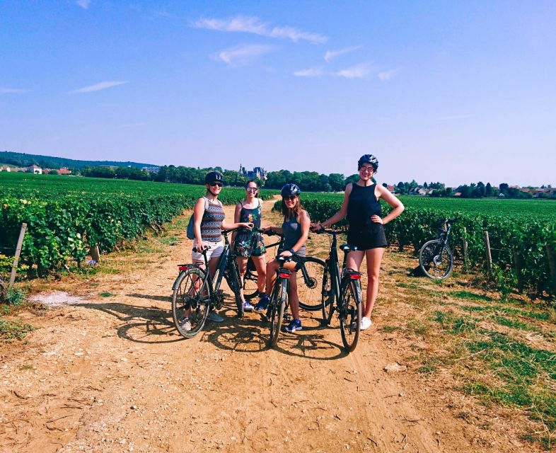 Dijon: Bike Tour and Tastings in the Vineyards of Burgundy - Key Points