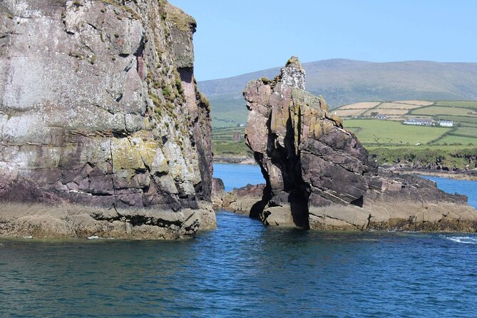 Dingle Bay Cliff Tour - Meeting and Pickup