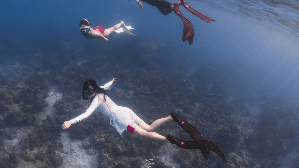 Discover Freediving in Boracay - Key Points