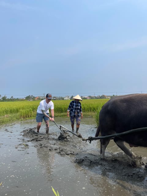 Discover Hoi an Countryside - Key Points