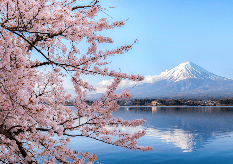 Discover Mount Fuji: Private Car/Van Day Tour From Tokyo - Key Points