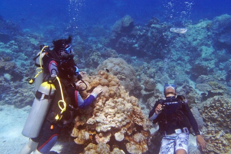 Discover Scuba Diving in Boracay - Key Points