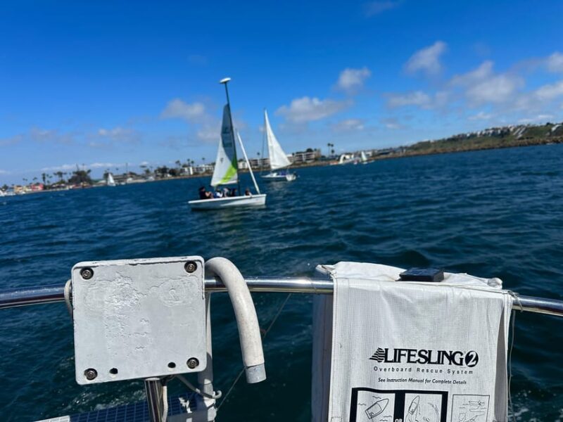 Dolphin Sightings Tour - Key Points
