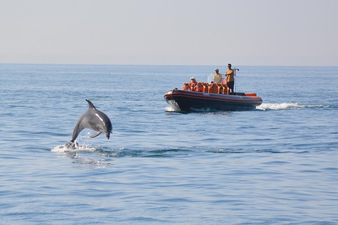 Dolphin Watching and Cave Tour From Vilamoura - Good To Know