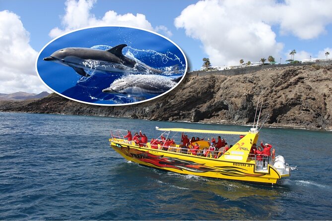 Dolphin Watching Mini Cruise and Snorkeling From Lanzarote - Good To Know