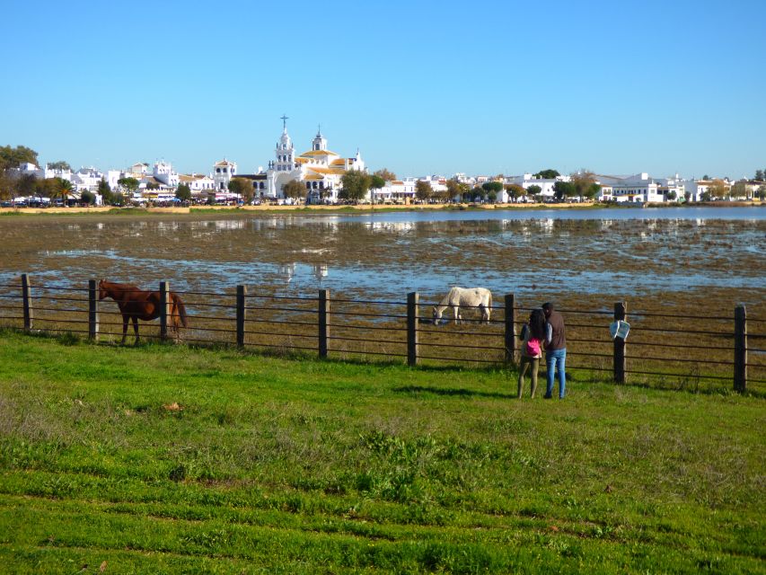 Doñana National Park Off-Road Tour From Seville - Key Points