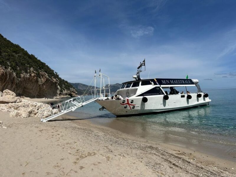 Dorgali: Cala Luna Boat Trip - Key Points