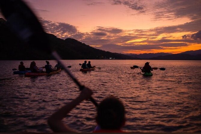 Double Kayak Bioluminescence Tour in Costa Rica - Good To Know