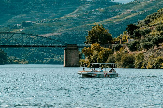 Douro Valley: 1h Solar Boat Experience - Two Wine Tasting - Overview of the Experience