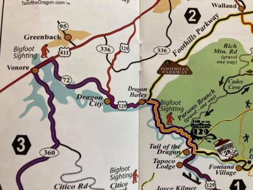 Dragon City - Good To Know