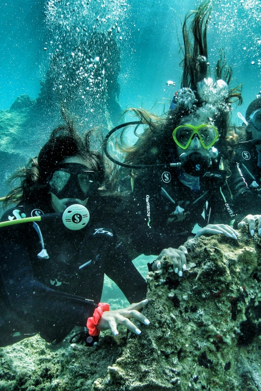 DSD | Guided Scuba Diving Experience in Paros - Key Points