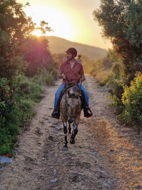 Dubrovnik Kojan Koral: Horseback Riding - Good To Know