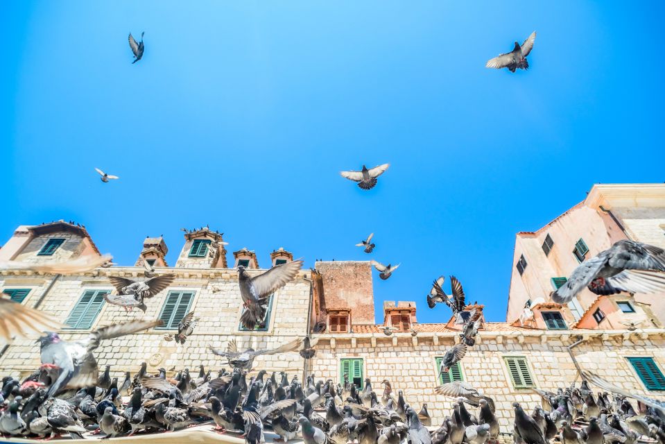 Dubrovnik: The Ultimate Game of Thrones Tour - Good To Know