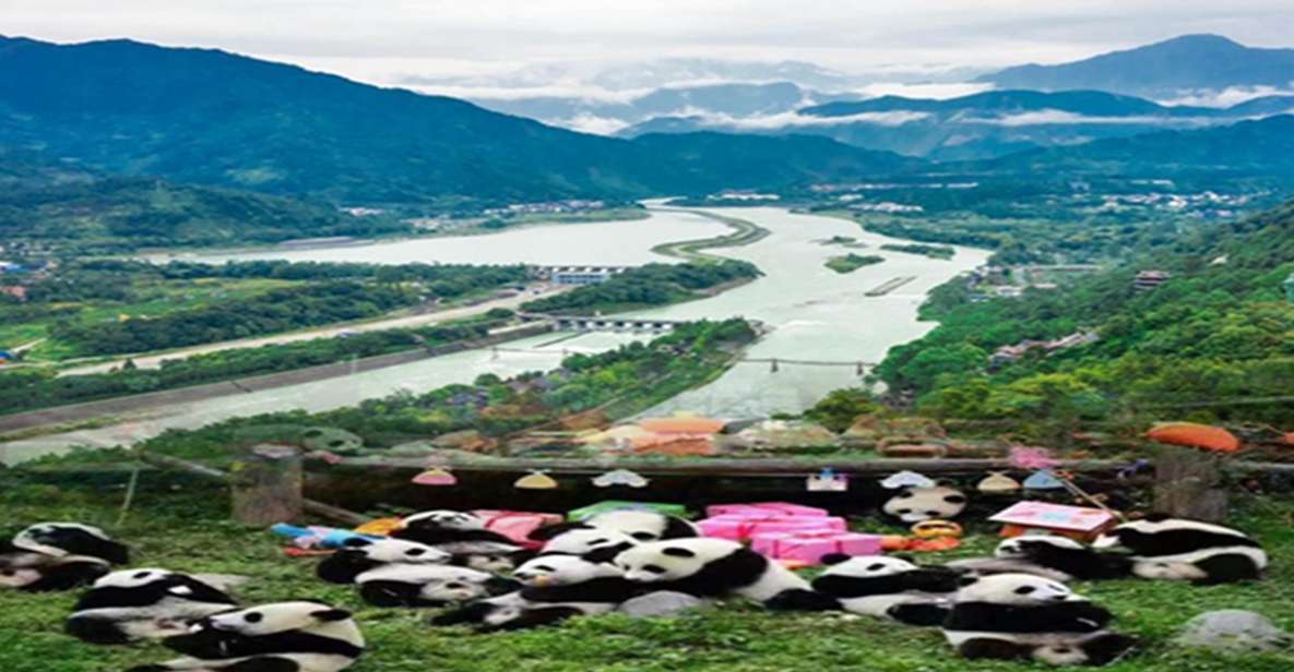 Dujiangyan Panda Base and Irrigation System Park Day Tour - Good To Know