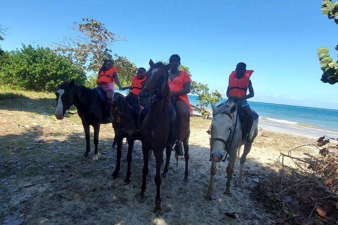 Dunns River Falls Climb, Zipline and Horseback Riding Private Tour - Included Amenities