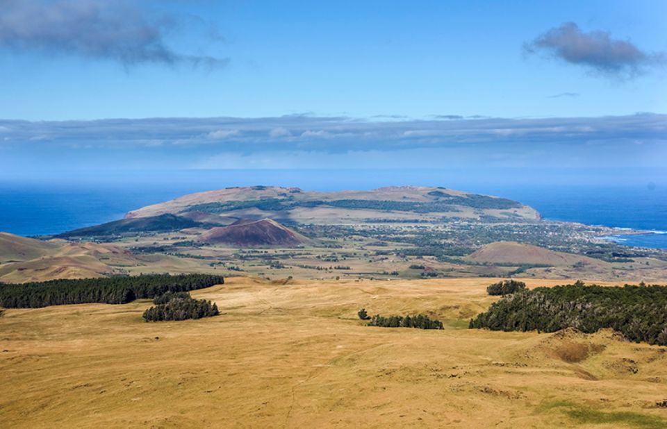 Easter Island: Terevaka Summit Hike Private Half-Day Trip - Key Points