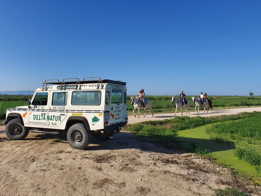 Ebro Delta National Park: Guided Horseback Riding Tour - Key Points