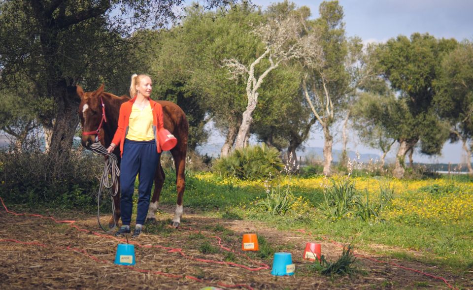 El Palmar: Reconnect Thanks to Coaching With Horses - Key Points