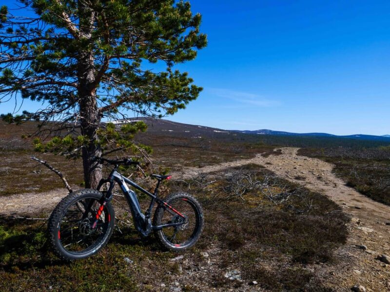 Electronic Fatbiking Trip to the Taiga Forests in Ivalo - Key Points