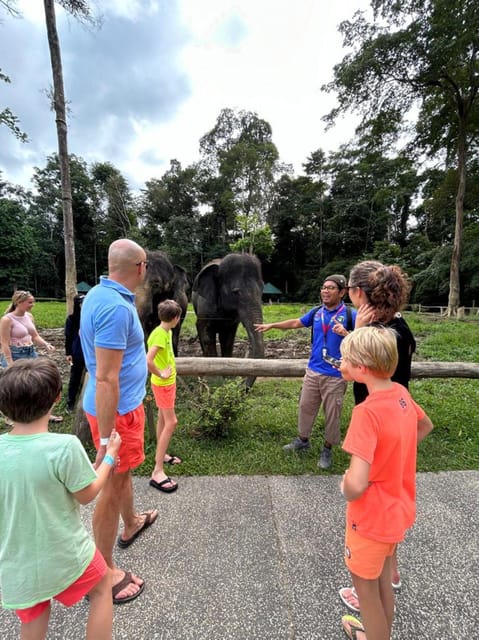 ELEPHANT SANCTUARY GUIDED TOUR WITH WATERFALL HIKE - Key Points