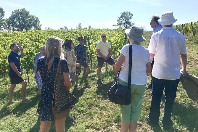 Elite Provence Wine Tour - Good To Know