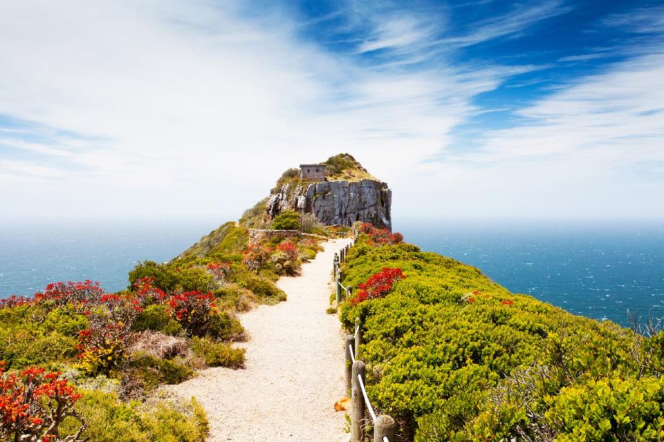 Enchanting Cape Point & Boulder's Penguin Adventure - Good To Know