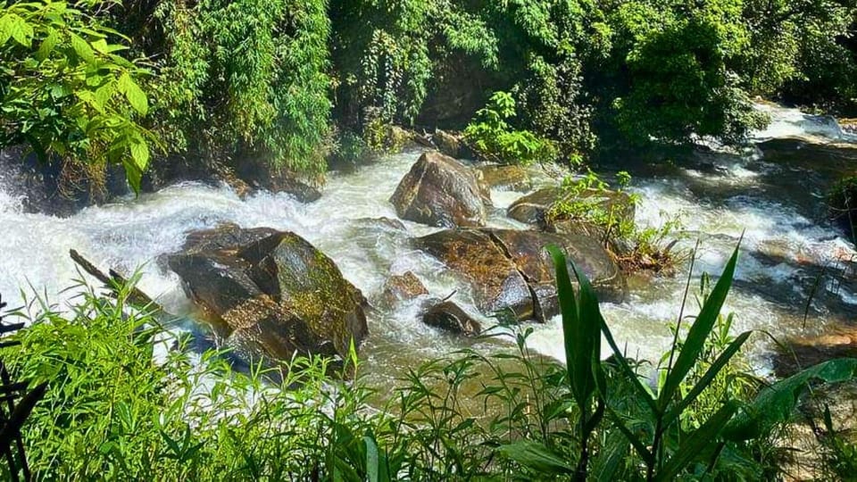 Enchanting Jungle Full-Day Trekking in Chiang Mai - Key Points