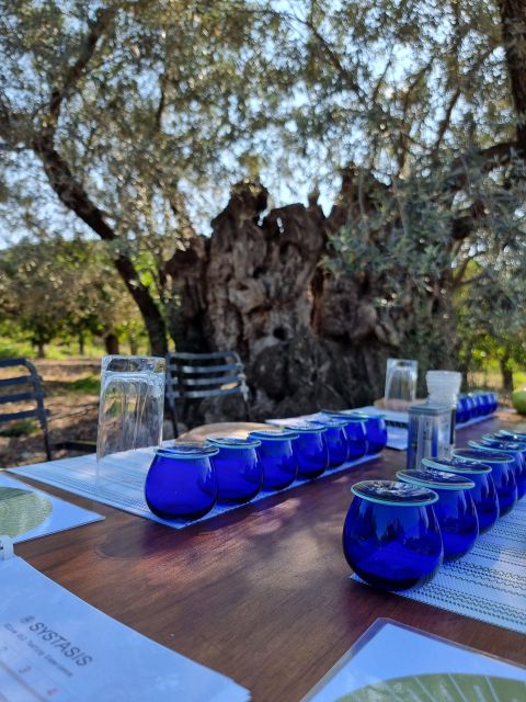 Ermioni: Olive Oil Tasting & Millennial Olive Tree Tour - Key Points