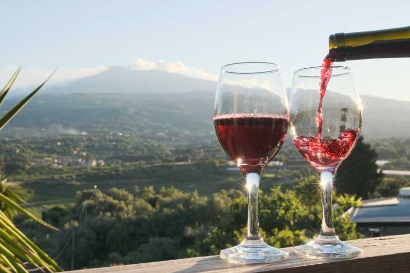 Etna & Wine Tour - Key Points