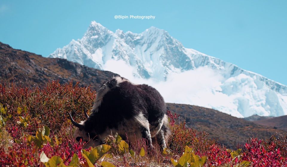 Everest Base Camp Trek - Key Points