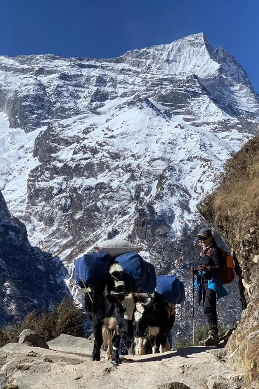 Everest Base Camp Trek by Helicopter Return -11 Days - Key Points