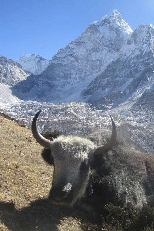 Everest Base Camp Trek Package - Key Points