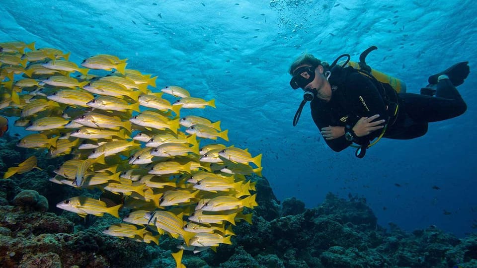 Exciteful Scuba Diving Experience in Antalya - Key Points