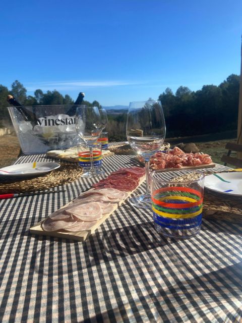 Exclusive Penedes Wine Tour & Brunch in the Vineyard - Key Points