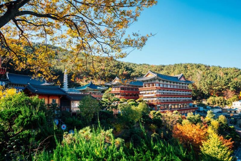 Explore Busan: Cultural Highlights and Scenic Full-Day Tour - Key Points