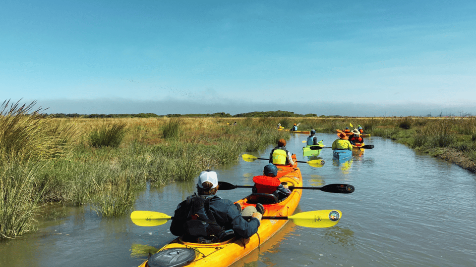 Explore Humboldt Bay by Kayak - Activity Overview