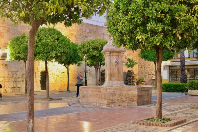 Explore Marbella Old Town: Authentic Tapas Food Tour - Key Points