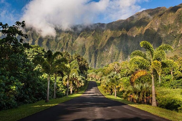 Explore Oahu in a Polaris Slingshot