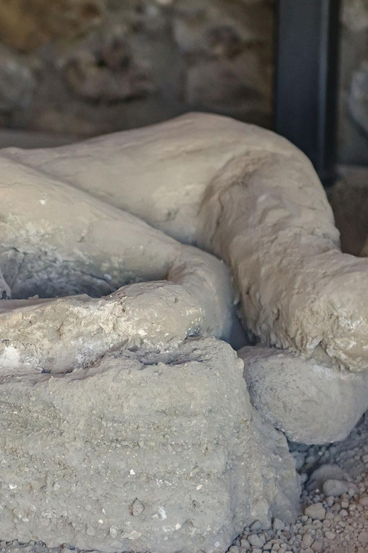 Explore Pompeii With a Complete Guided Tour - Key Points