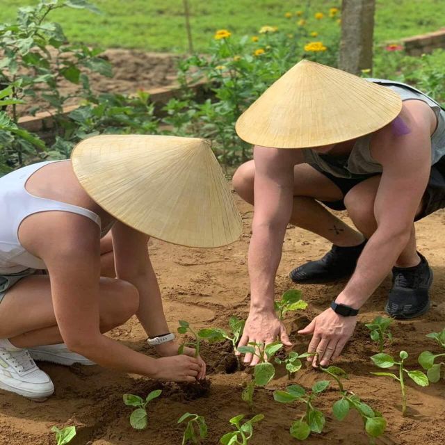 Farming - Local Market - Cooking Class In Tra Que Vegetable - Key Points