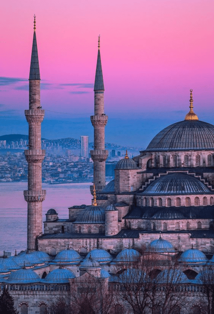 Fast-Paced Istanbul Tour With VIP Car for Layover Passengers - Key Points