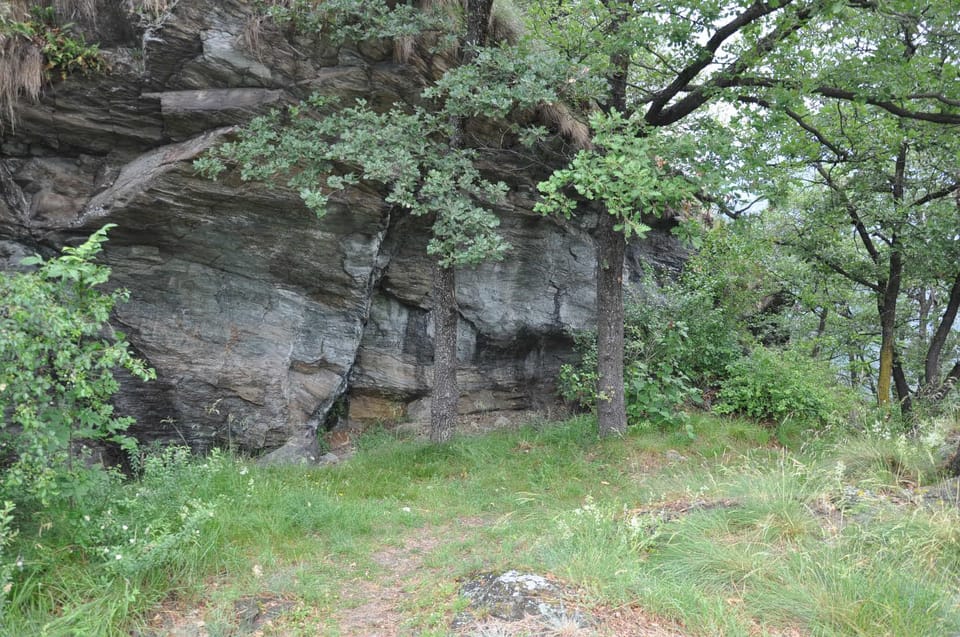 FAUNA AND FLORA OF EXPOSED AND ENGRAVED ROCKS - Key Points