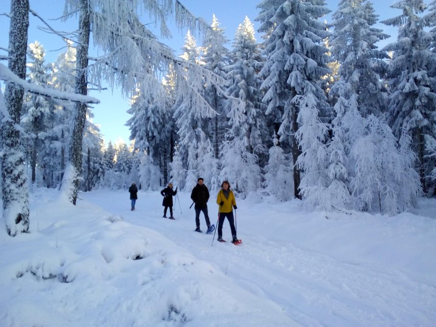 Fichtel Mountains: Snowshoe Hike - Key Points