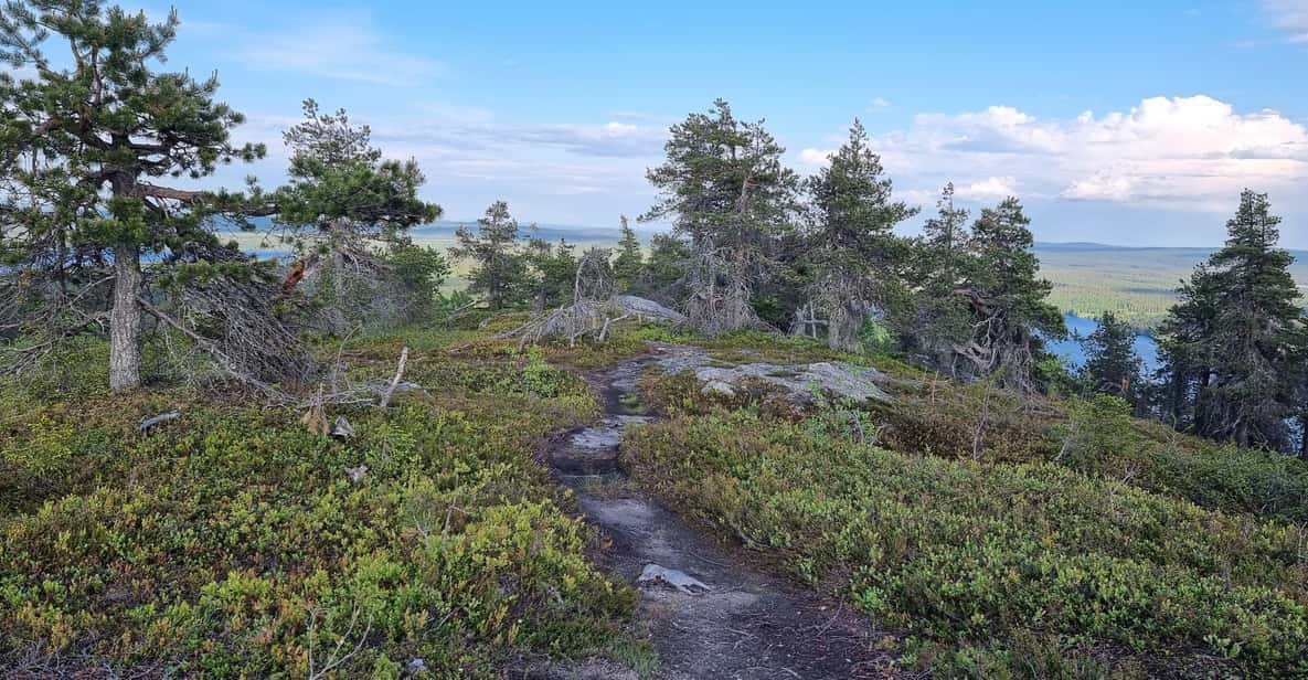 Finnish Lapland: Midnight Sun Walk in Riisitunturi Park - Key Points