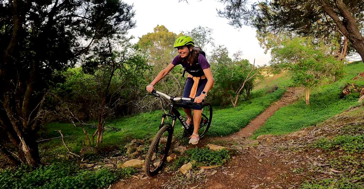 Firgas: Gran Canaria Forest Mountain Bike Tour - Key Points