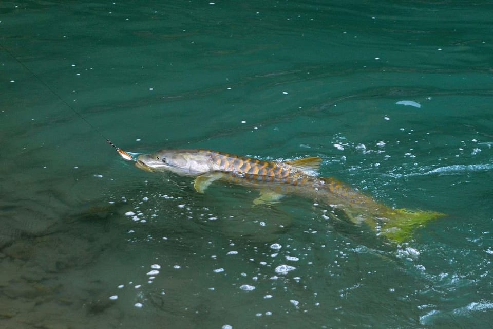 First Hand Fishing Experience in Pokhara - Key Points